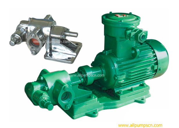 electric gear oil transfer pump